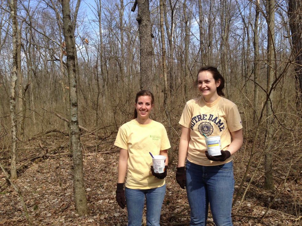 Full Size Image = 9334 K