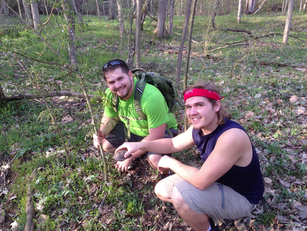 Full Size Image = 8944 K