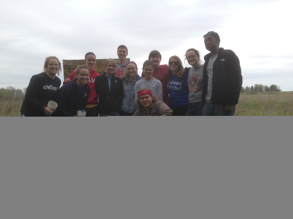 Full Size Image = 4329 K