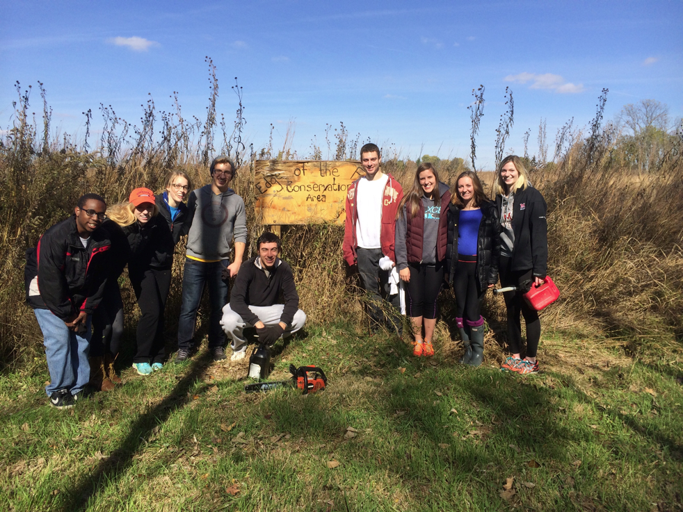 Full Size Image = 7683 K