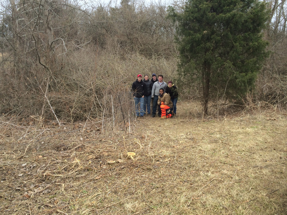 Full Size Image = 7833 K