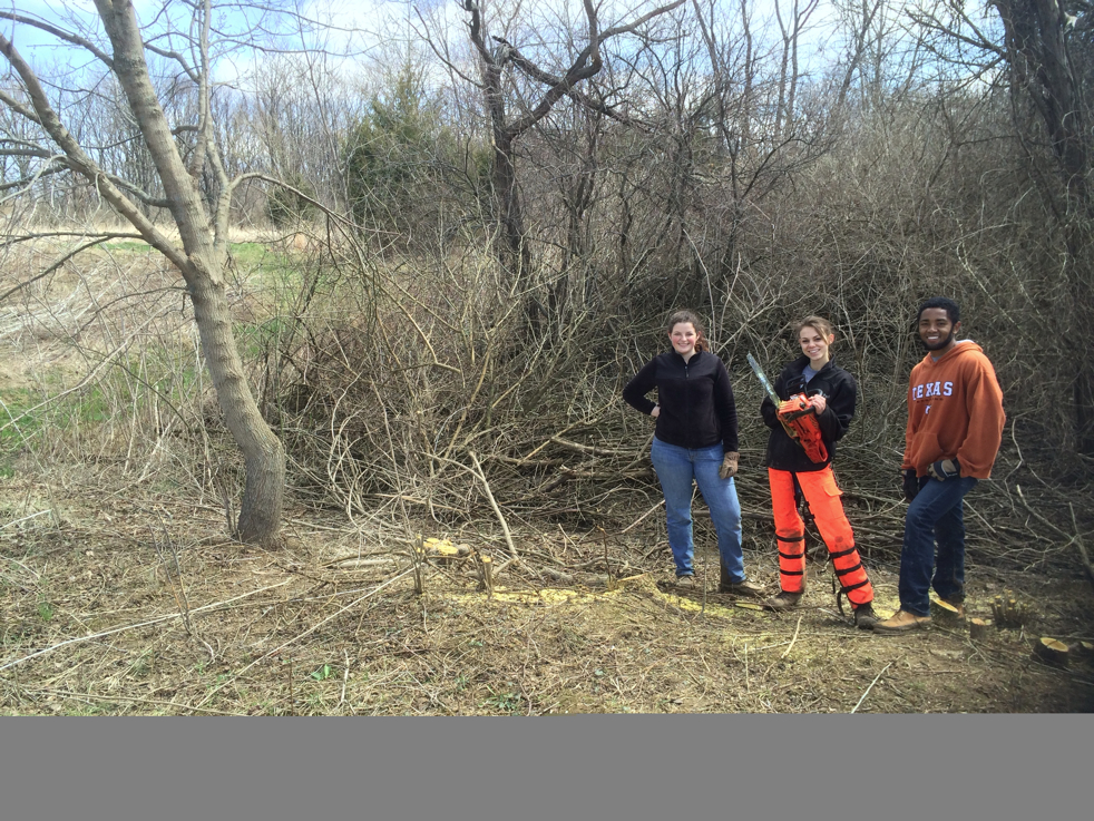 Full Size Image = 9469 K