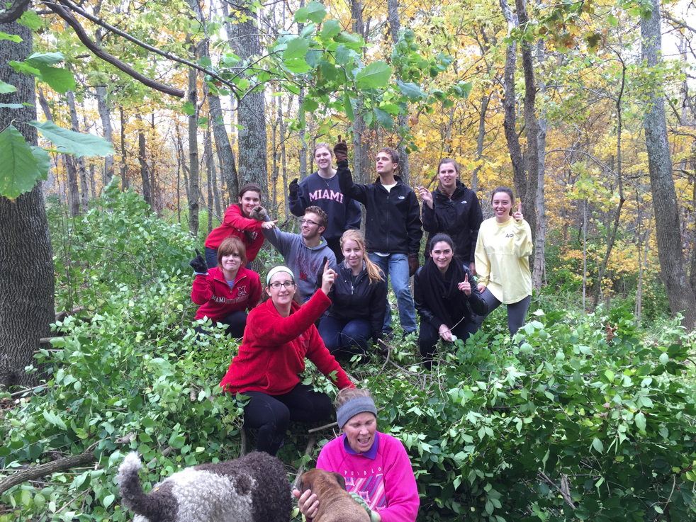 Full Size Image = 9054 K