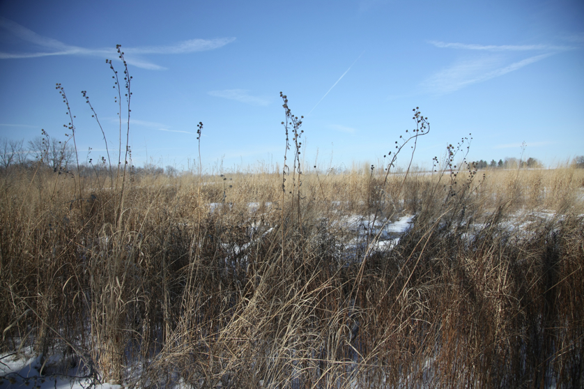 Full Size Image = 4982 K