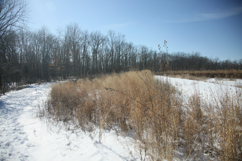 Full Size Image = 5480 K