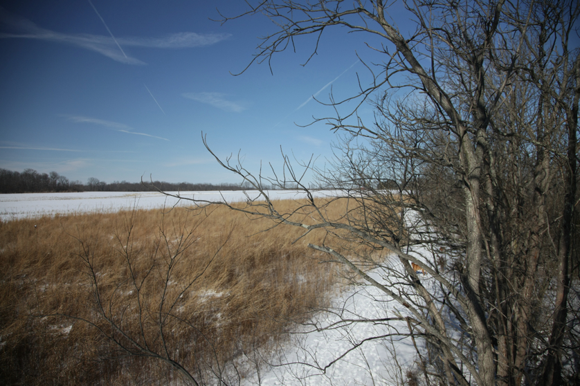 Full Size Image = 4561 K