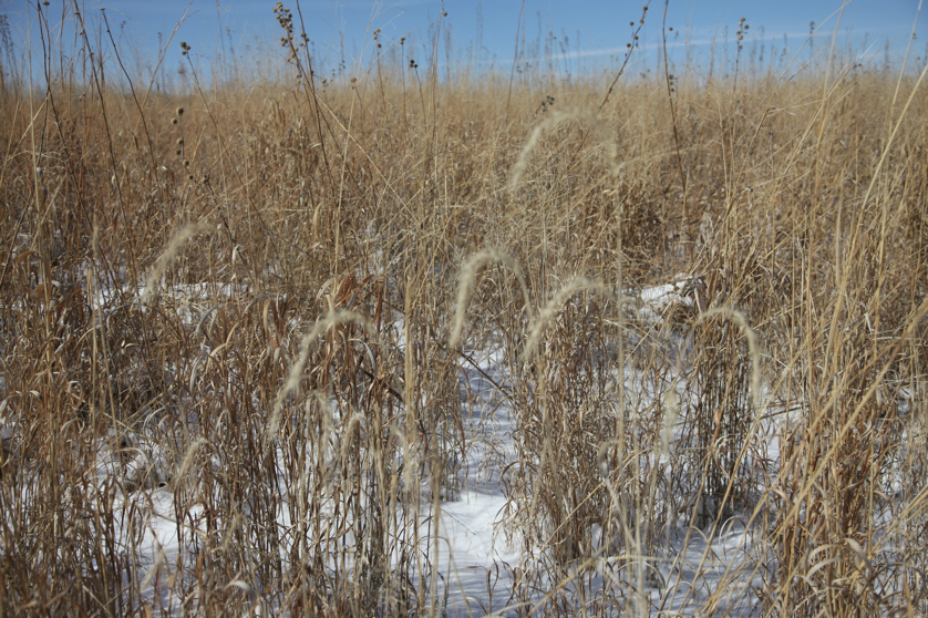 Full Size Image = 5776 K