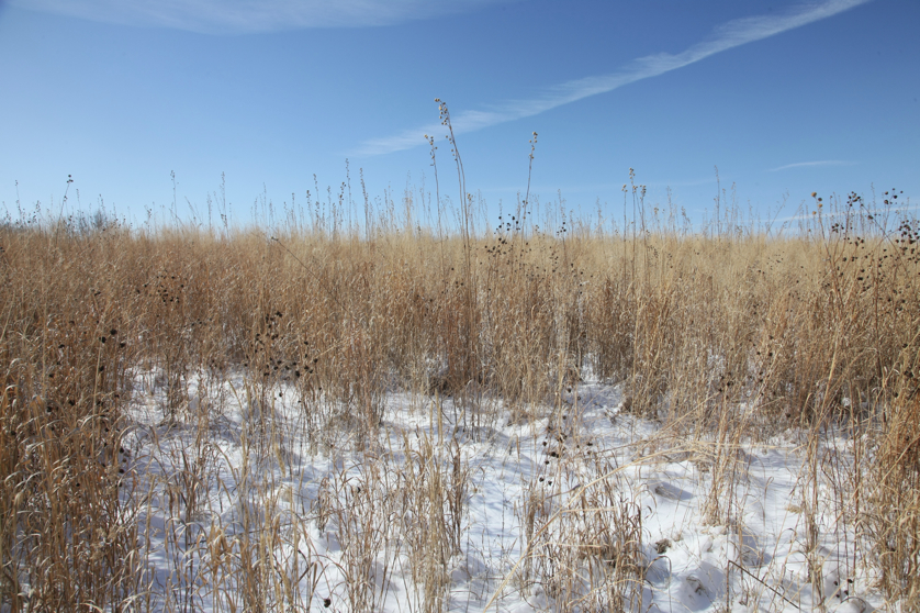 Full Size Image = 5588 K