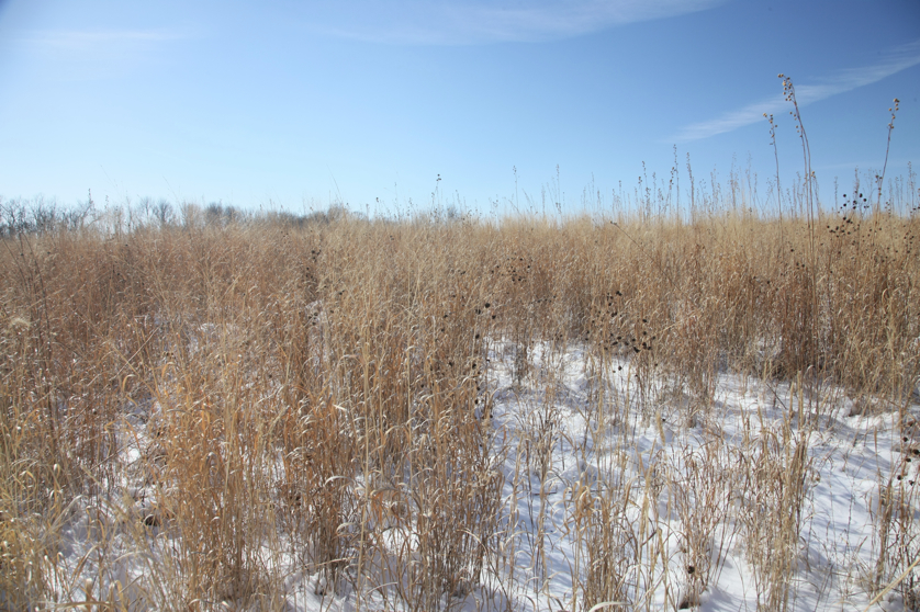 Full Size Image = 5502 K