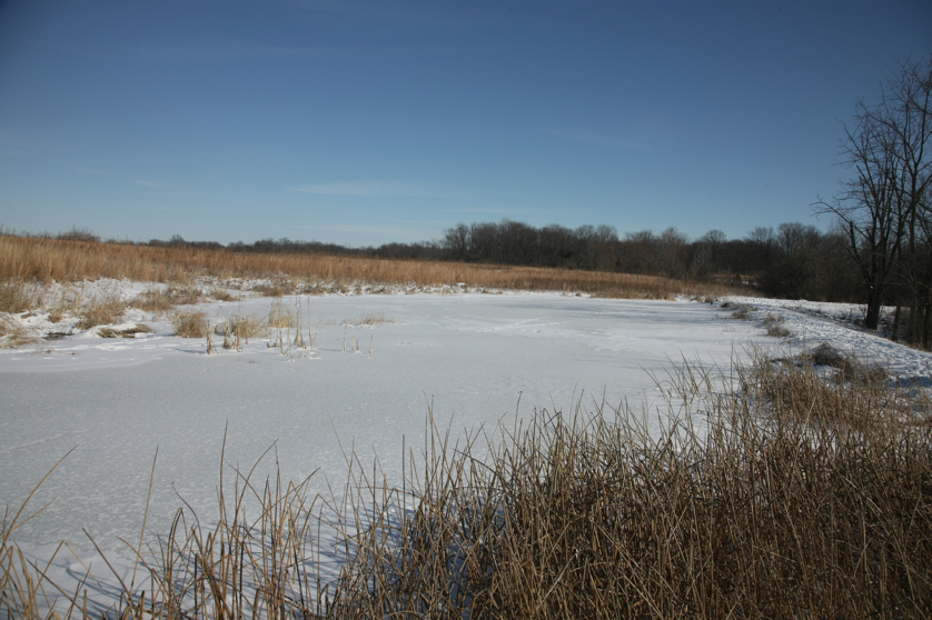 Full Size Image = 4344 K