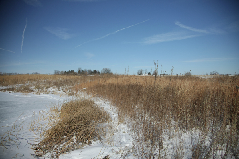 Full Size Image = 4138 K