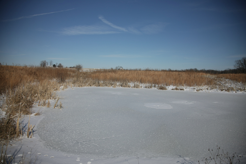 Full Size Image = 3250 K