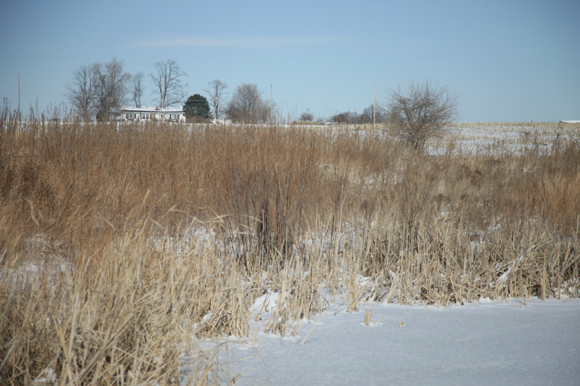 Full Size Image = 4245 K