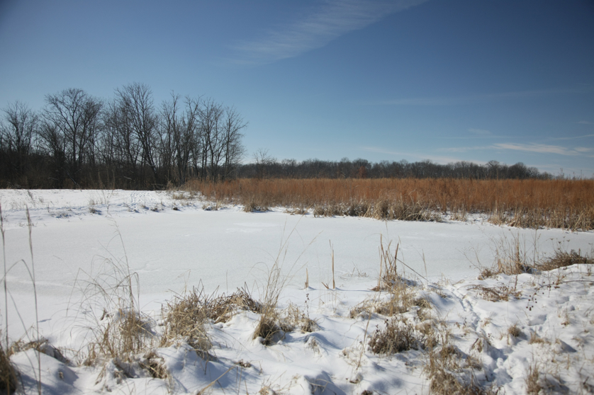 Full Size Image = 3584 K