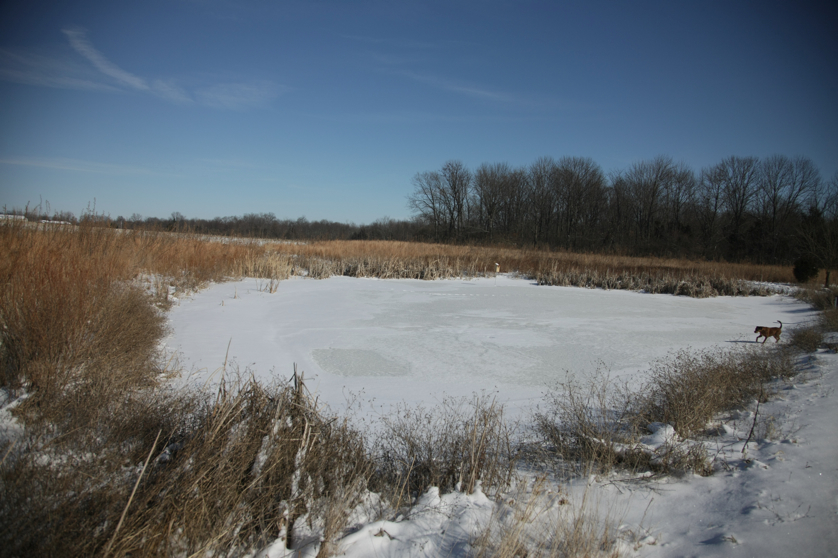 Full Size Image = 3736 K