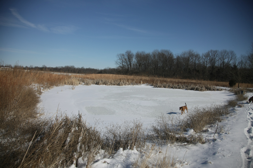 Full Size Image = 3782 K