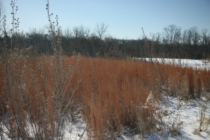 Full Size Image = 4867 K