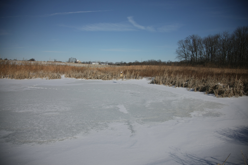 Full Size Image = 3127 K