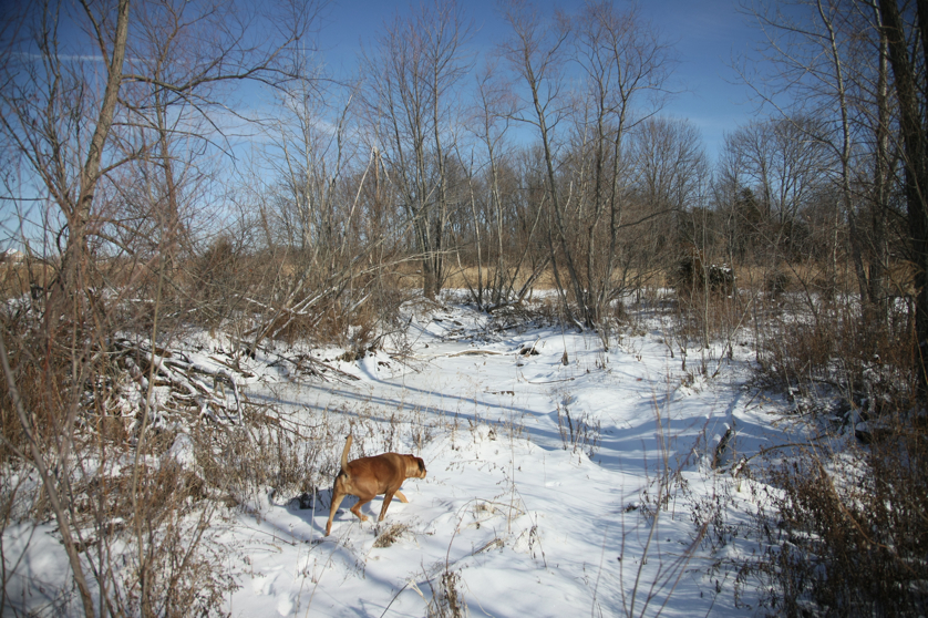 Full Size Image = 5943 K