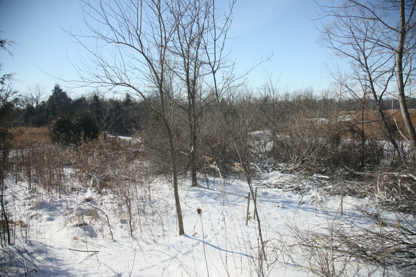 Full Size Image = 6198 K