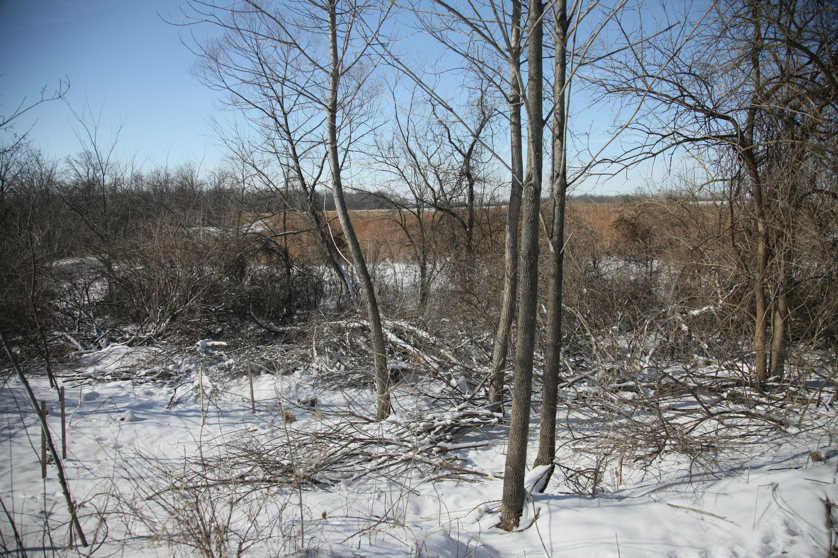 Full Size Image = 6588 K