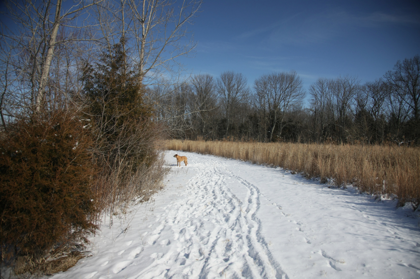 Full Size Image = 4865 K