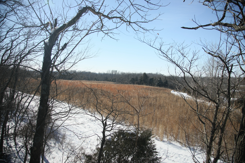 Full Size Image = 6059 K