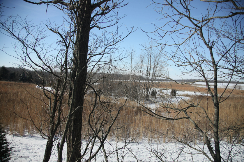 Full Size Image = 5920 K