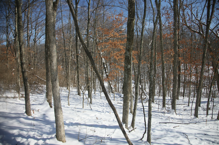 Full Size Image = 6170 K