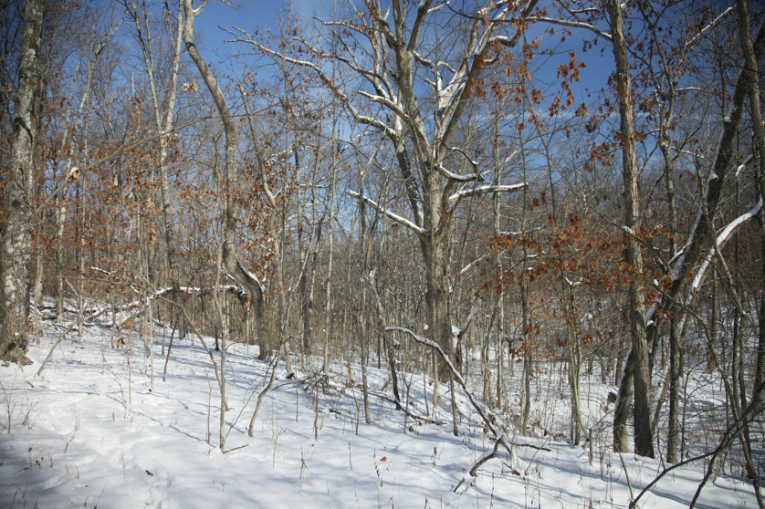 Full Size Image = 6602 K