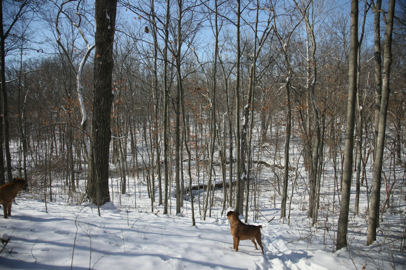 Full Size Image = 6536 K