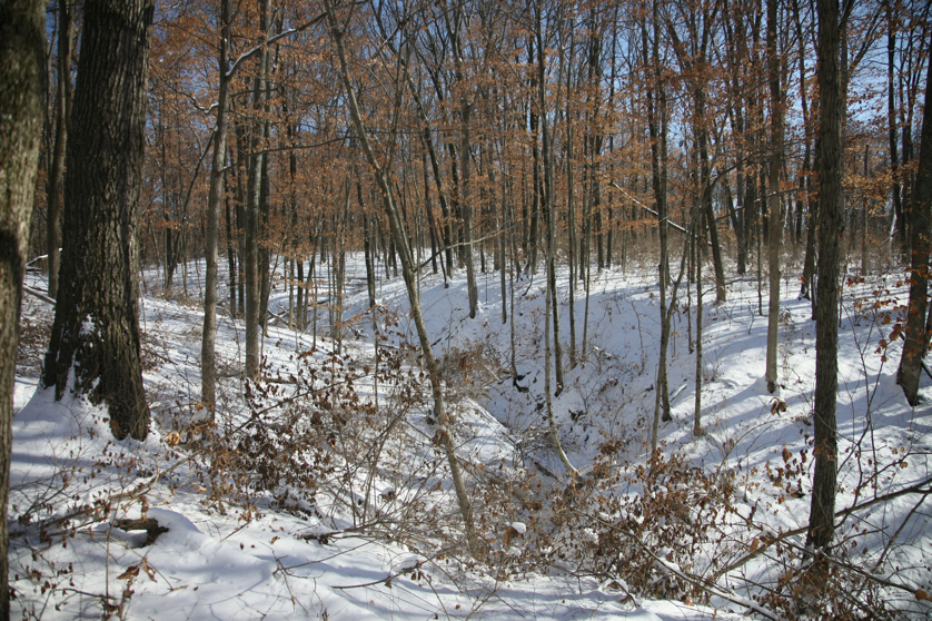 Full Size Image = 6842 K