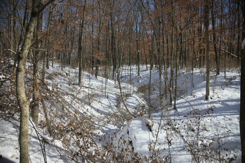 Full Size Image = 6652 K