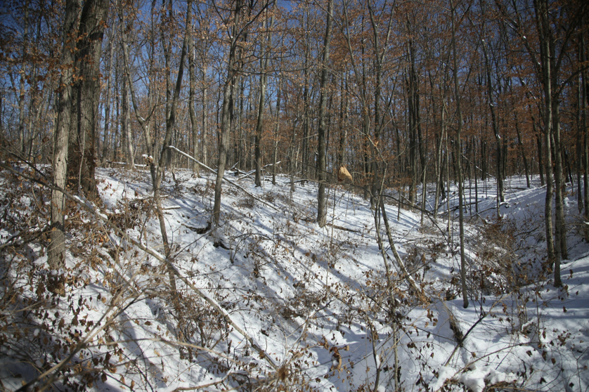 Full Size Image = 6800 K