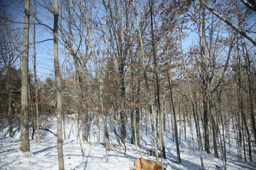 Full Size Image = 7471 K