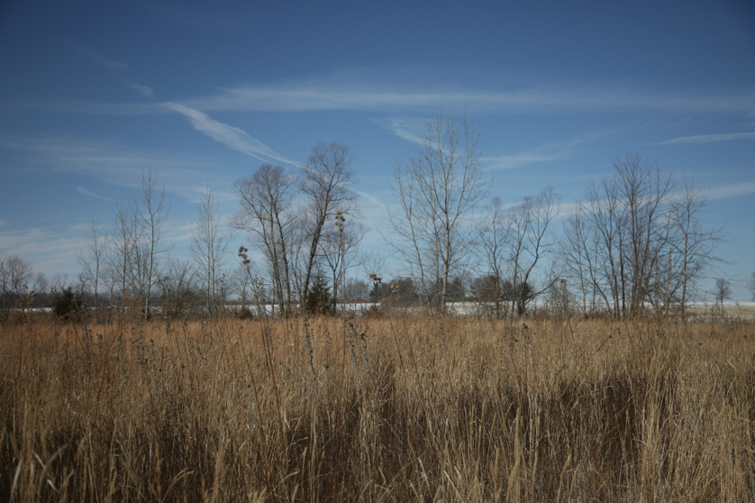 Full Size Image = 4452 K