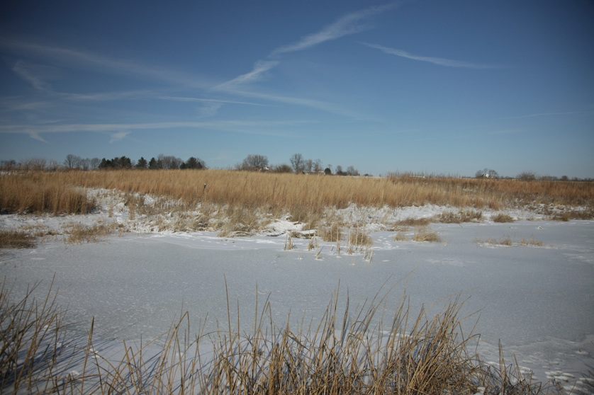 Full Size Image = 3756 K