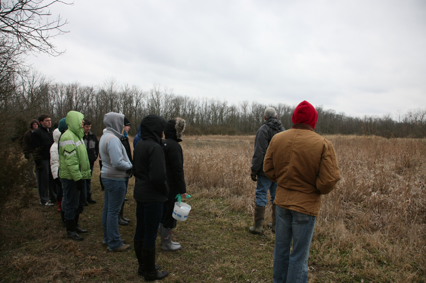 Full Size Image = 4530 K