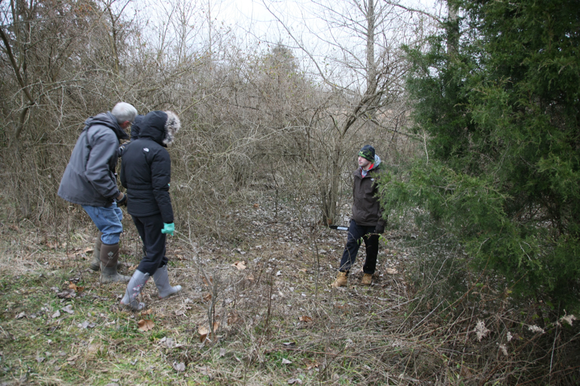 Full Size Image = 6079 K