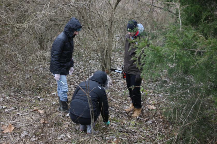 Full Size Image = 5124 K