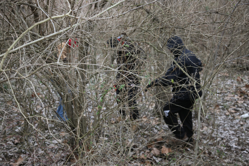 Full Size Image = 4863 K