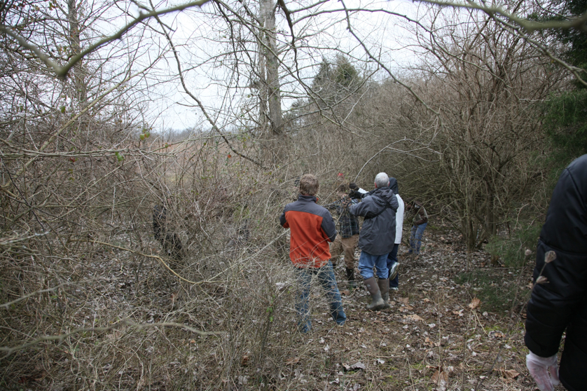 Full Size Image = 7048 K