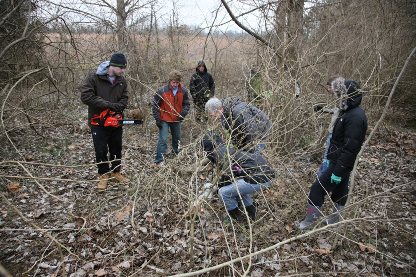 Full Size Image = 6331 K