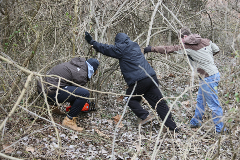 Full Size Image = 5832 K