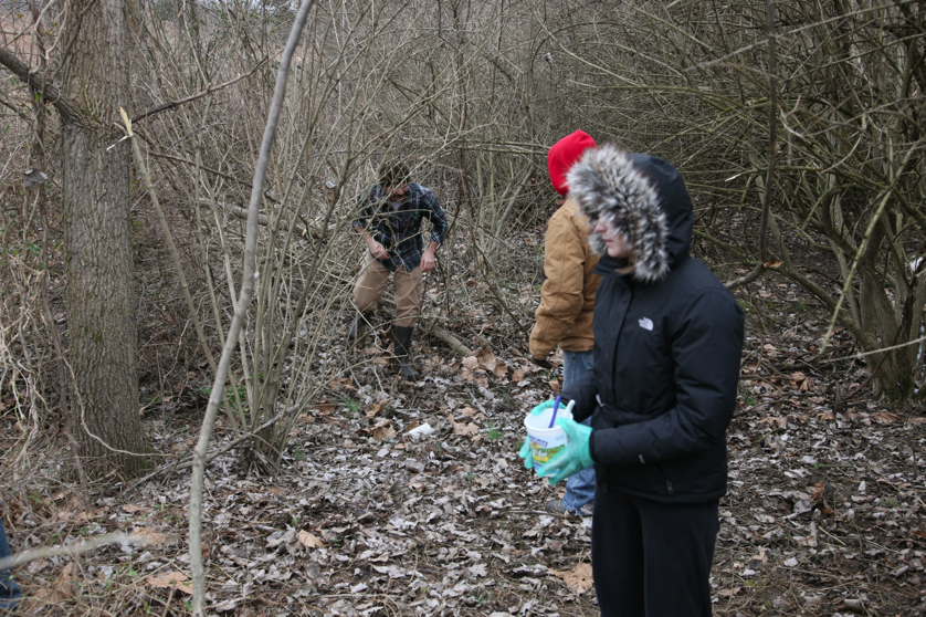 Full Size Image = 6210 K