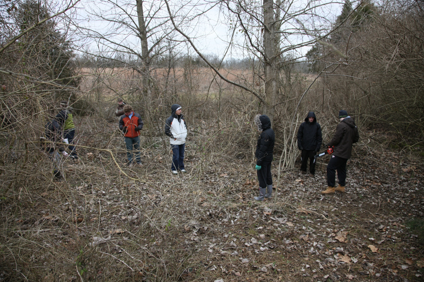 Full Size Image = 6989 K