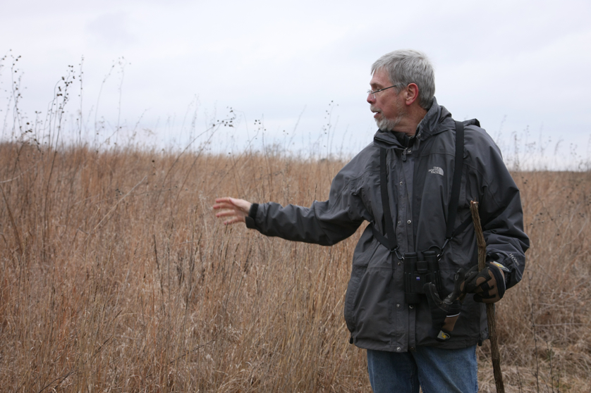 Full Size Image = 3398 K