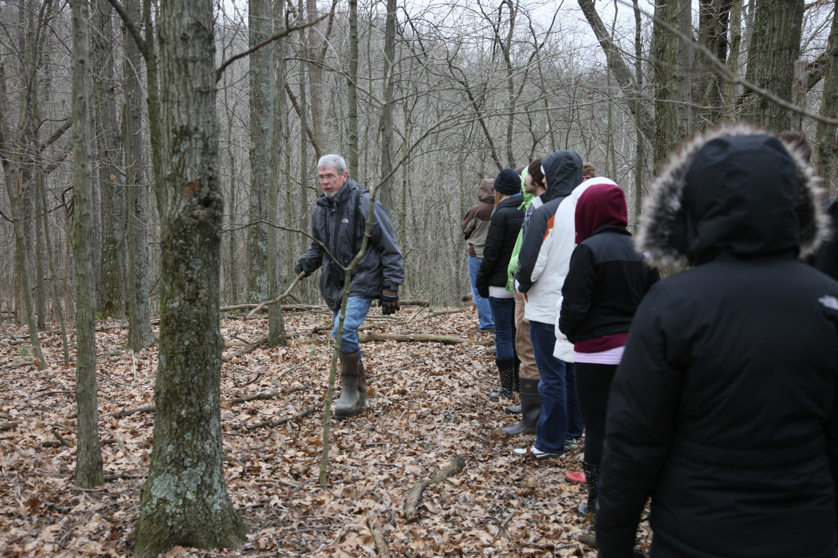 Full Size Image = 4875 K