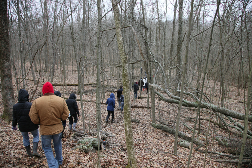 Full Size Image = 7209 K