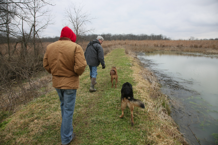 Full Size Image = 4309 K